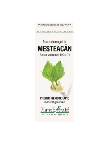 Muguri de Mesteacan, 50 ml, Plant Extract - TINCTURI - PLANTEXTRAKT