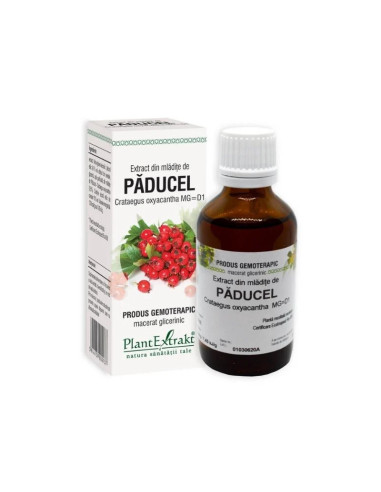 Extract din mladite de Paducel, 50 ml, Plant Extrakt - TINCTURI - PLANTEXTRAKT