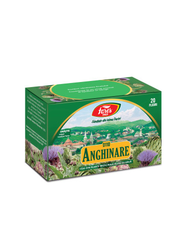 Ceai Anghinare frunze D110, 20 plicuri, Fares - UZ-GENERAL - FARES