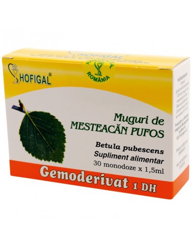 Muguri de Mesteacan pufos Gemoderivat, 30 doze, Hofigal - UZ-GENERAL - HOFIGAL