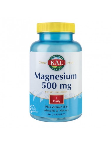 Secom Magnesium 500 mg, 60 capsule - UZ-GENERAL - SECOM