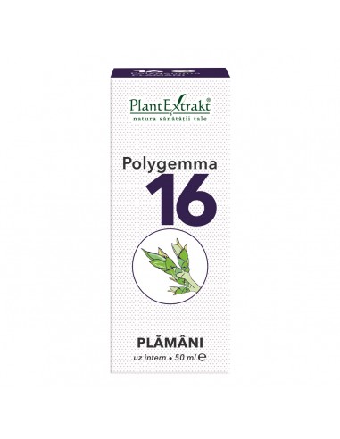 Polygemma 16, Plamani, 50 ml, Plant Extrakt - TINCTURI - PLANTEXTRAKT