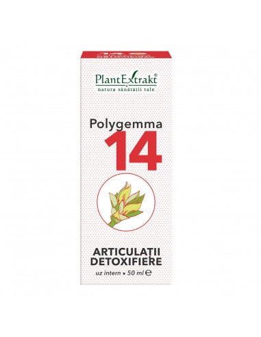 Polygemma 14, Articulatii detoxifiere, 50 ml, Plant Extrakt - TINCTURI - PLANTEXTRAKT