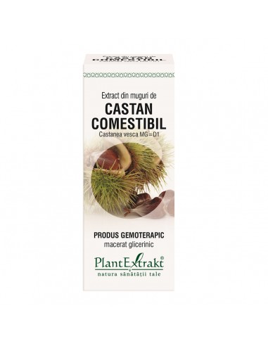 Extract din muguri de Castan comestibil, 50 ml, Plant Extrakt - TINCTURI - PLANTEXTRAKT