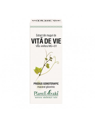 Extract din muguri de Vita de Vie, 50 ml, Plant Extrakt - TINCTURI - PLANTEXTRAKT