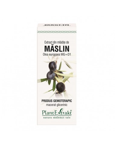 Extract din mladite de Maslin, 50 ml, Plant Extrakt -  - PLANTEXTRAKT