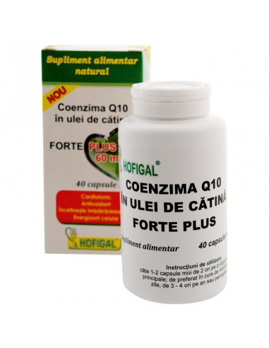 Coenzima Q10 in ulei de catina Forte Plus 60mg, 40 capsule, Hofigal - AFECTIUNI-CARDIOVASCULARE - HOFIGAL