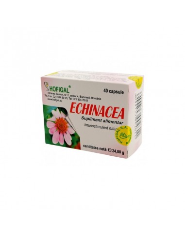 Echinacea, 40 capsule, Hofigal - IMUNITATE - HOFIGAL