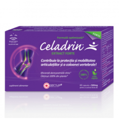 Celadrin Extract Forte 500 mg, 60 capsule