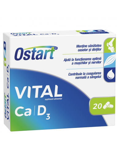 Ostart Vital Ca + D3, 20 comprimate, Fiterman - VITAMINE-SI-MINERALE - FITERMAN
